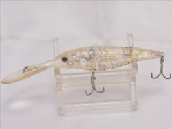 Abalone shirauo (Silent model)