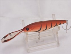 American craw