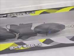 Black raven (#701)