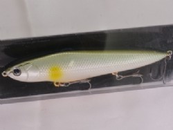 Lime ayu orange belly