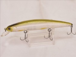 GF Biwako shad