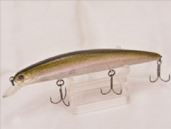 Real rainbow trout