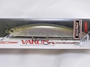 Real rainbow trout