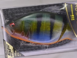 GP redfin perch