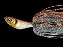 Gill