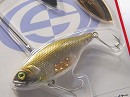 Golden shiner