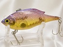 GP Tequila shad