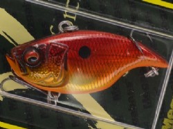 GG red shinner