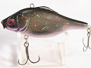 GS Deadly black shad ob