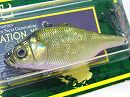 GG Moss back golden shad (Package damaged)