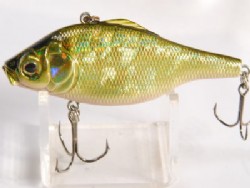 GG Mossback golden shad