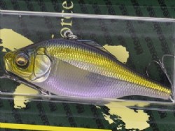 HT Ito Tennessee shad