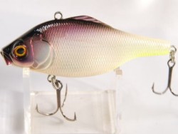 SG KOHOKU  SP