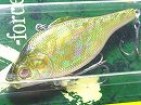 GG Moss back golden shad