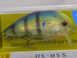 Blue gill (#02)