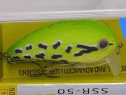 Grass frog (#04)