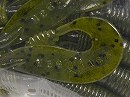 Watermelon seed