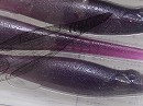 Purple grape core (#00B6)