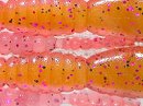 Cherry shrimp (#00C8)