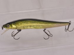 GG Moss back golden shad