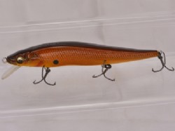 Komorin copper shad