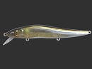 HT Ito Tennessee shad