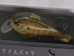 3D female gill (#548)