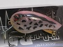Glow ero gaeru (#692)