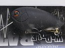 Black raven (#701)