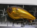 Gold scale shiner (#723)