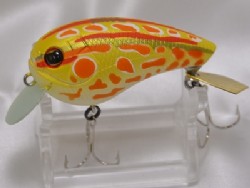 Albino akagaeru