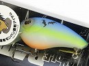American blue shad (#261)