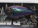 Andromeda (#432)