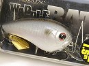 Silver shiner (#117)