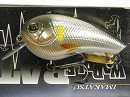 Silver ayu (#247)