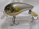 Silver ayu