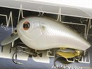 Silver shiner (#117)