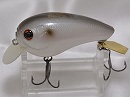 Silver shiner
