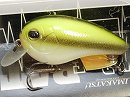 Uribo (#249)