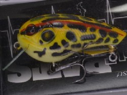 Albino tonosama gaeru (#592) (Wood rattle model)