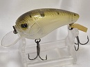 Biwako legend classic