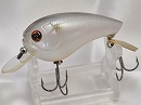 Silver shiner