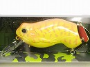 Yellow coach dog (#383)