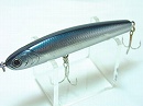 Silver minnow