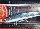 Silver minnow