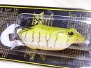Bayou stripe