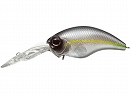American shad (#253)