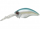 Blueback herring (#239)