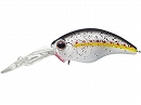King shad (#272)