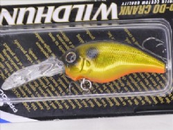 Golden shiner (#211)
